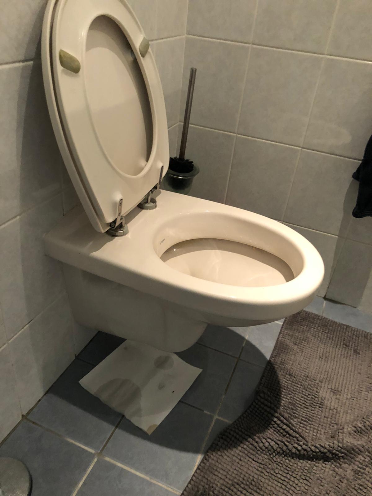 hangtoilet Westzaan